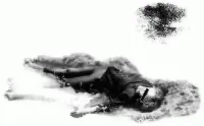 ЛЮБОВЬ ДО ГРОБА - Совершенно Секретно ЛЮБОВЬ ДО ГРОБА - Совершенно Секретно