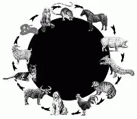 НЕБЕСНАЯ МОЛНИЯ НЕБЕСНАЯ МОЛНИЯ