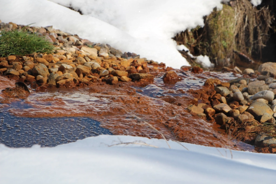ВРЕД РЕКЕ ИЗ БАССЕЙНА ВОЛГИ ОЦЕНИЛИ В 15 ТЫСЯЧ РУБЛЕЙ - Совершенно Секретно ВРЕД РЕКЕ ИЗ БАССЕЙНА ВОЛГИ ОЦЕНИЛИ В 15 ТЫСЯЧ РУБЛЕЙ - Совершенно Секретно