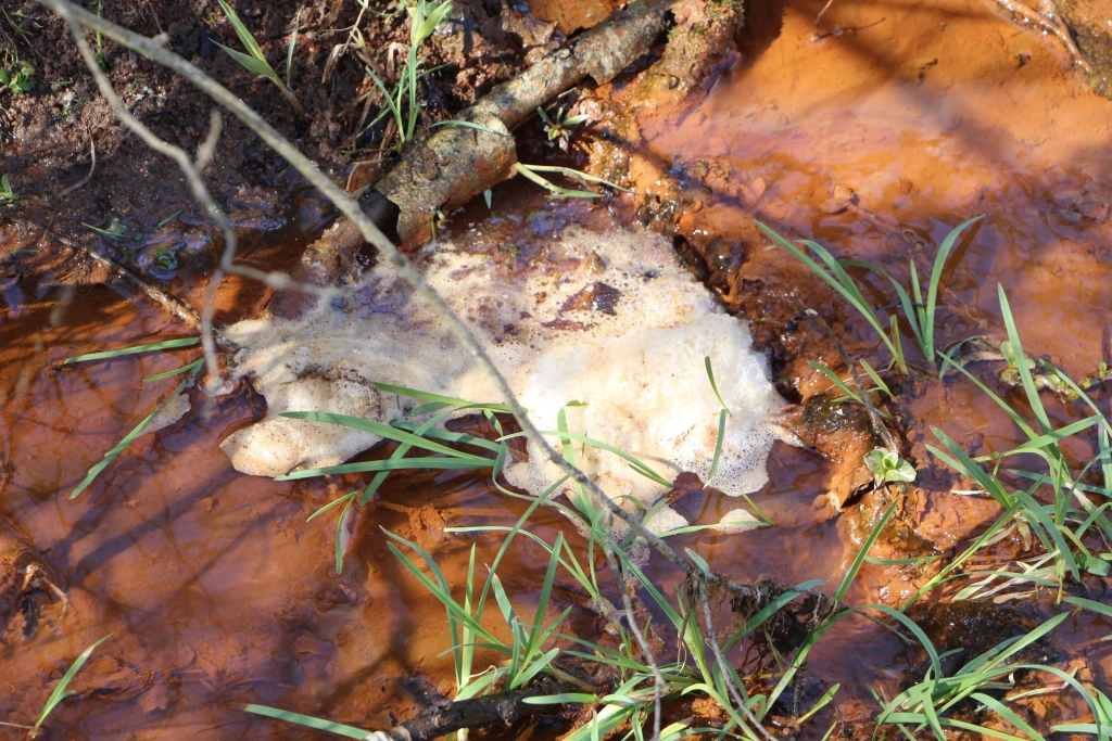 Сточные воды полигона «Ядрово» Сточные воды полигона «Ядрово»