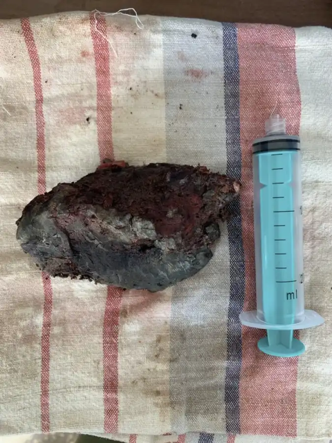 2025-01-22 12.20.28.webp 2025-01-22 12.20.28.webp