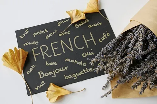 франция 4.webp франция 4.webp