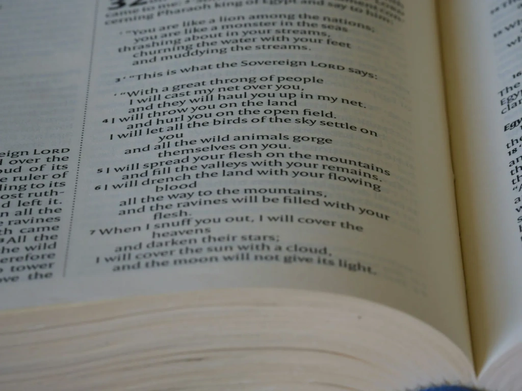 книга 1.webp учебники