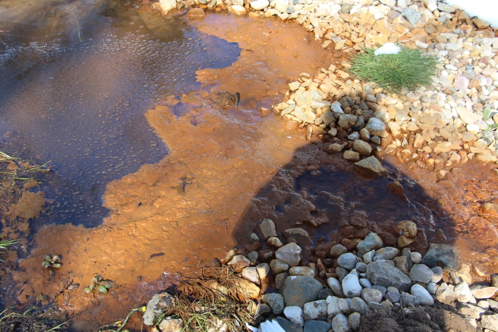 Сточные воды полигона «Ядрово» Сточные воды полигона «Ядрово»