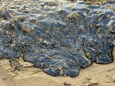 росприроднадзор: виновники разлива мазута в черном море не хотят оплачивать ущерб - Сайт Газеты «Совершенно Секретно»