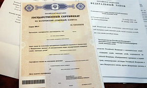 Cемерых красноярцев будут судить за аферу с маткапиталом на 354 млн рублей