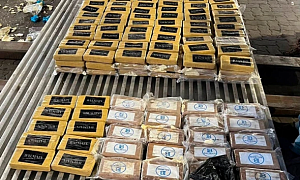 Петербургские таможенники обнаружили 820 кг кокаина в контейнерах с бананами