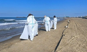 КУРОРТНЫЙ СЕЗОН В МАЗУТЕ  КУРОРТНЫЙ СЕЗОН В МАЗУТЕ