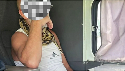 на камчатке пьяный водитель со змеей приехал в гаи, чтобы вернуть права - Сайт Газеты «Совершенно Секретно» на камчатке пьяный водитель со змеей приехал в гаи, чтобы вернуть права - Сайт Газеты «Совершенно Секретно»